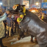 Meddaram Jaathara (Telangana) – మేడారం జాతర