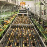 Electronics Sector- తెలంగాణలో  ఇటీవలి సంవత్సరాలలో గణనీయమైన వృద్ధిని సాధిస్తోంది….