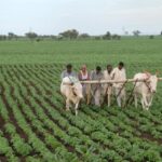 Kamareddy – కామారెడ్డి