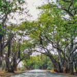 Serilingampalli – సెరిలింగంపల్లి