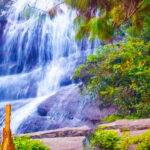 Waradhanapet – వర్ధన్నపేట