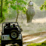 Eturnagaram Wildlife Sanctuary – ఏటూరునాగారం వన్యప్రాణుల అభయారణ్యం