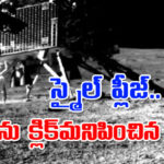 ISRO: చంద్రుడిపై ఆక్సిజన్‌ ఆనవాళ్లు ఉన్నట్లు గుర్తించిన ప్రజ్ఞాన్ రోవర్‌