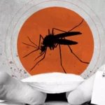 Four died of dengue in Mulugu district – ములుగు జిల్లాలో డెంగీతో నలుగురు మరణించారని…