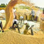 Cultivation of crops during the monsoon season in Telangana exceeded the normal target – తెలంగాణలో వానాకాలం సీజన్‌లో సాధారణ లక్ష్యాన్ని మించి పంటల సాగు జరిగింది