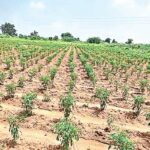 There’s no improvement.. – ఎలాంటి మెరుగుదల లేదు..