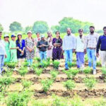MP – జగన్‌ సెల్ఫ్‌ గోల్‌ వేసుకుంటున్నారు.. ఎంపీ రామ్మోహన్‌ నాయుడు…